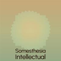 Somesthesia Intellectual