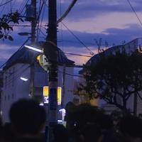 苏苏