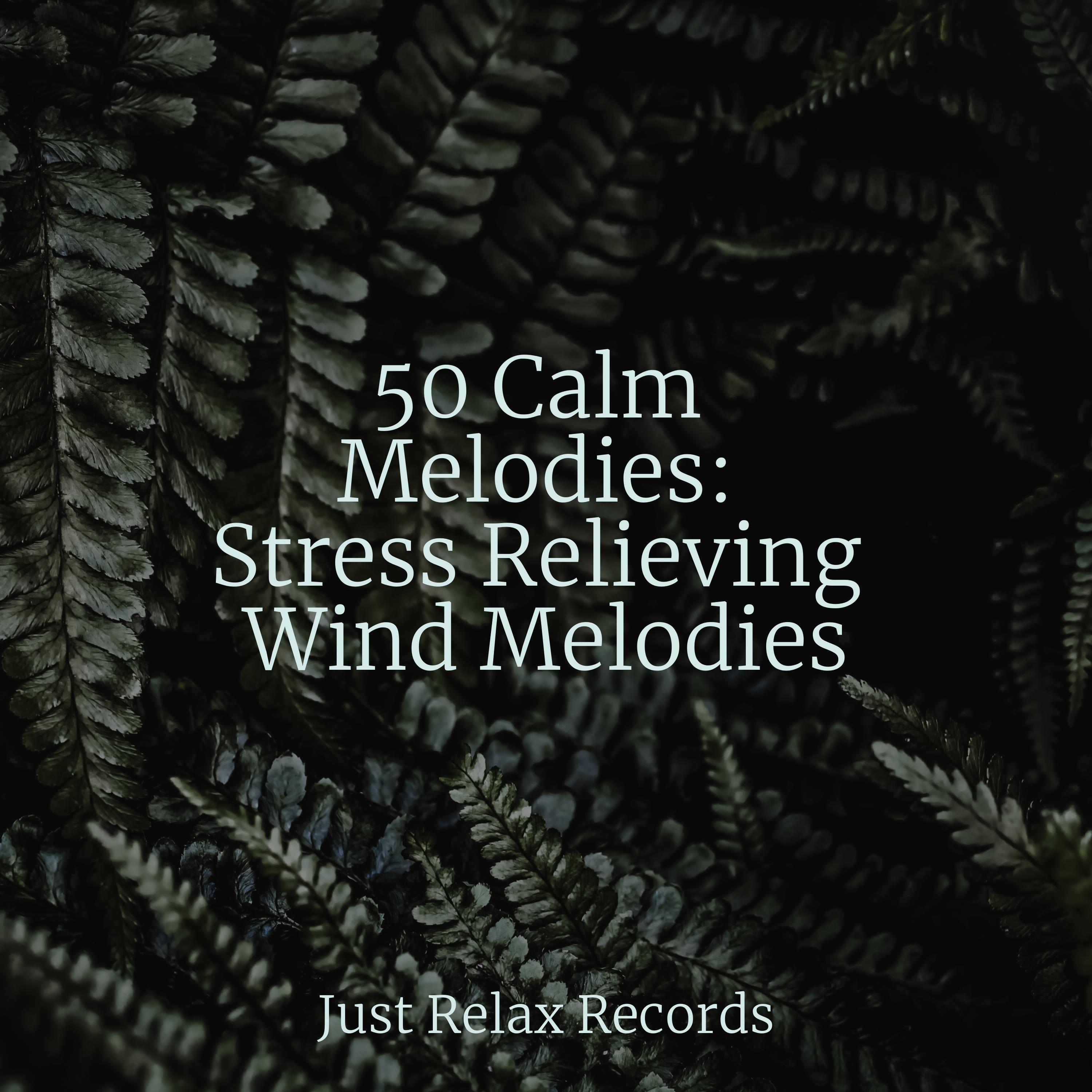 Cosmic Night Cadence