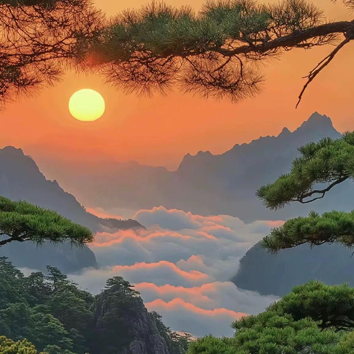 晨露蒸发前的遗言