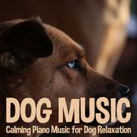 Dog Music: Calming Piano Music for Dog Relaxation