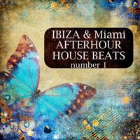 Ibiza & Miami Afterhour House Beats No.1