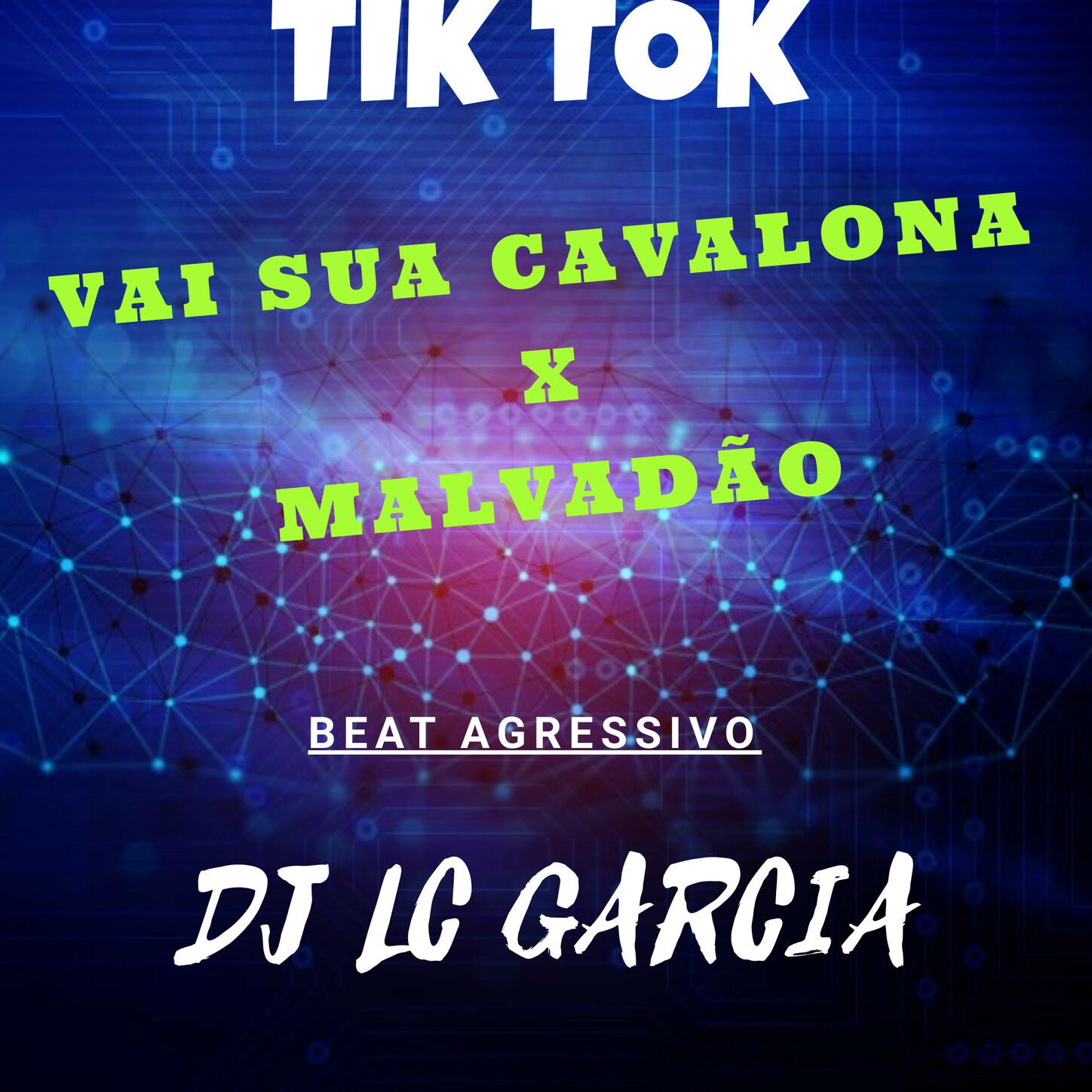 Vai Sua Cavalona , Malvadao Beat Agressivo