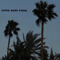 Cupid 2024 Final