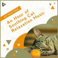 An Hour of Soothing Cat Relaxation Music