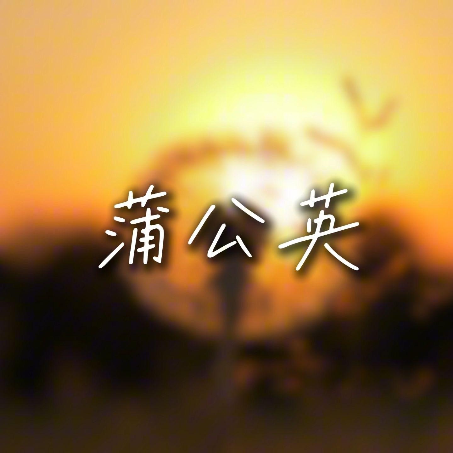蒲公英封面