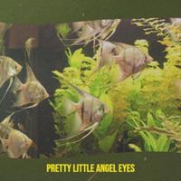 Pretty Little Angel Eyes