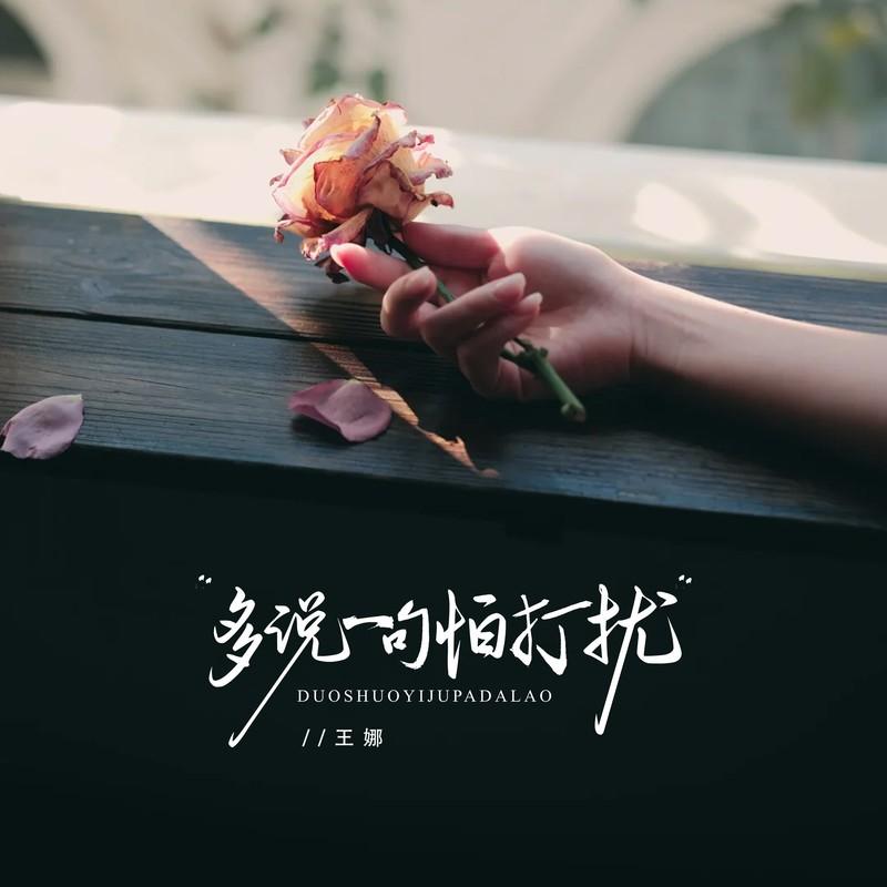 多说一句怕打扰 (伴奏)封面