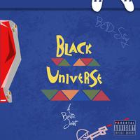 Black Universe