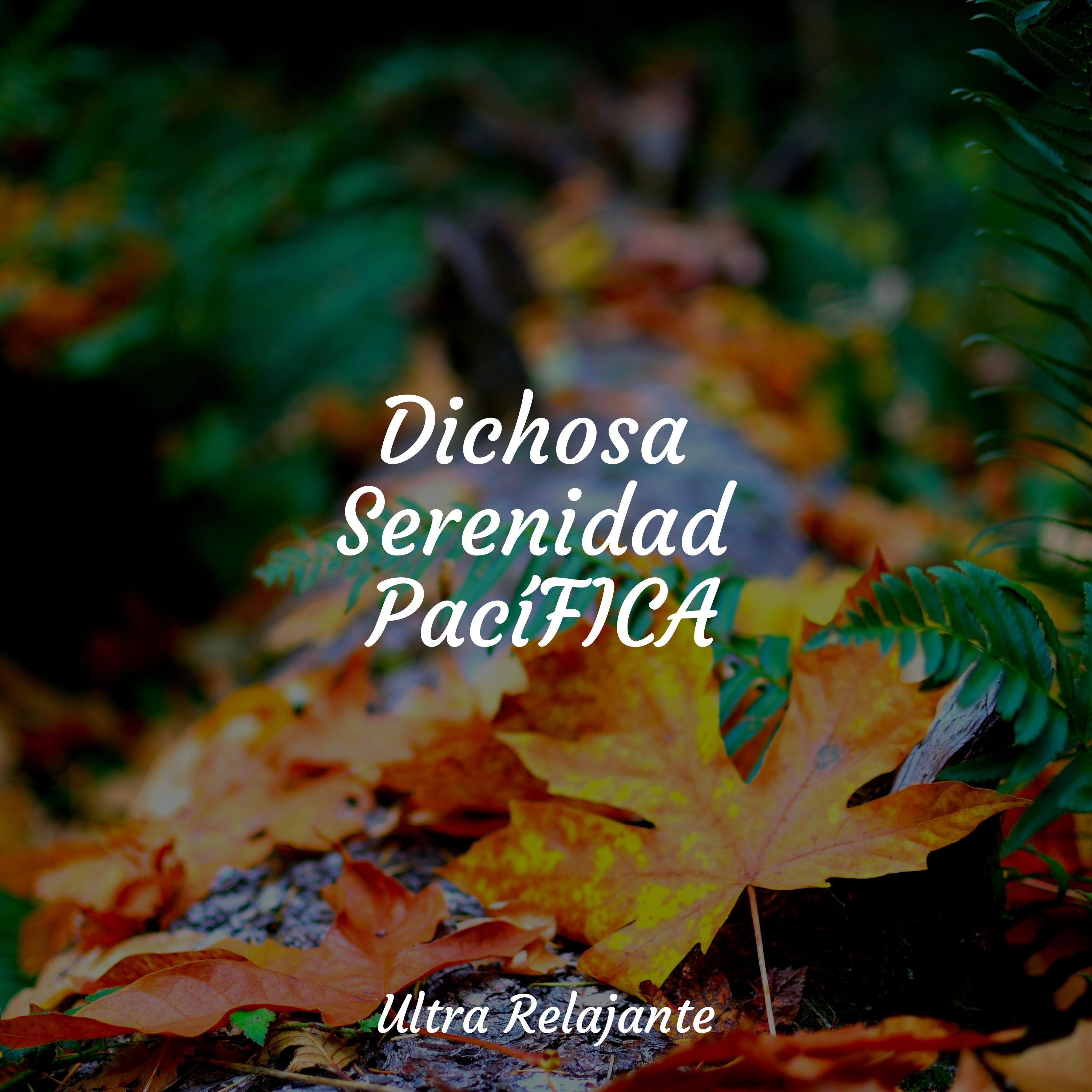 Amor En El Crepúsculo