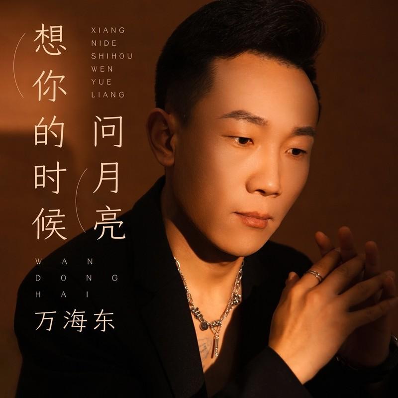 想你的时候问月亮 (伴奏)封面