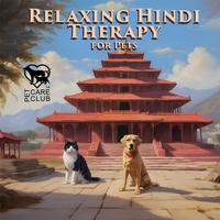Relaxing Hindi Therapy for Pets: Sleep Aids, Healing Atmosphere, Animals Calmness