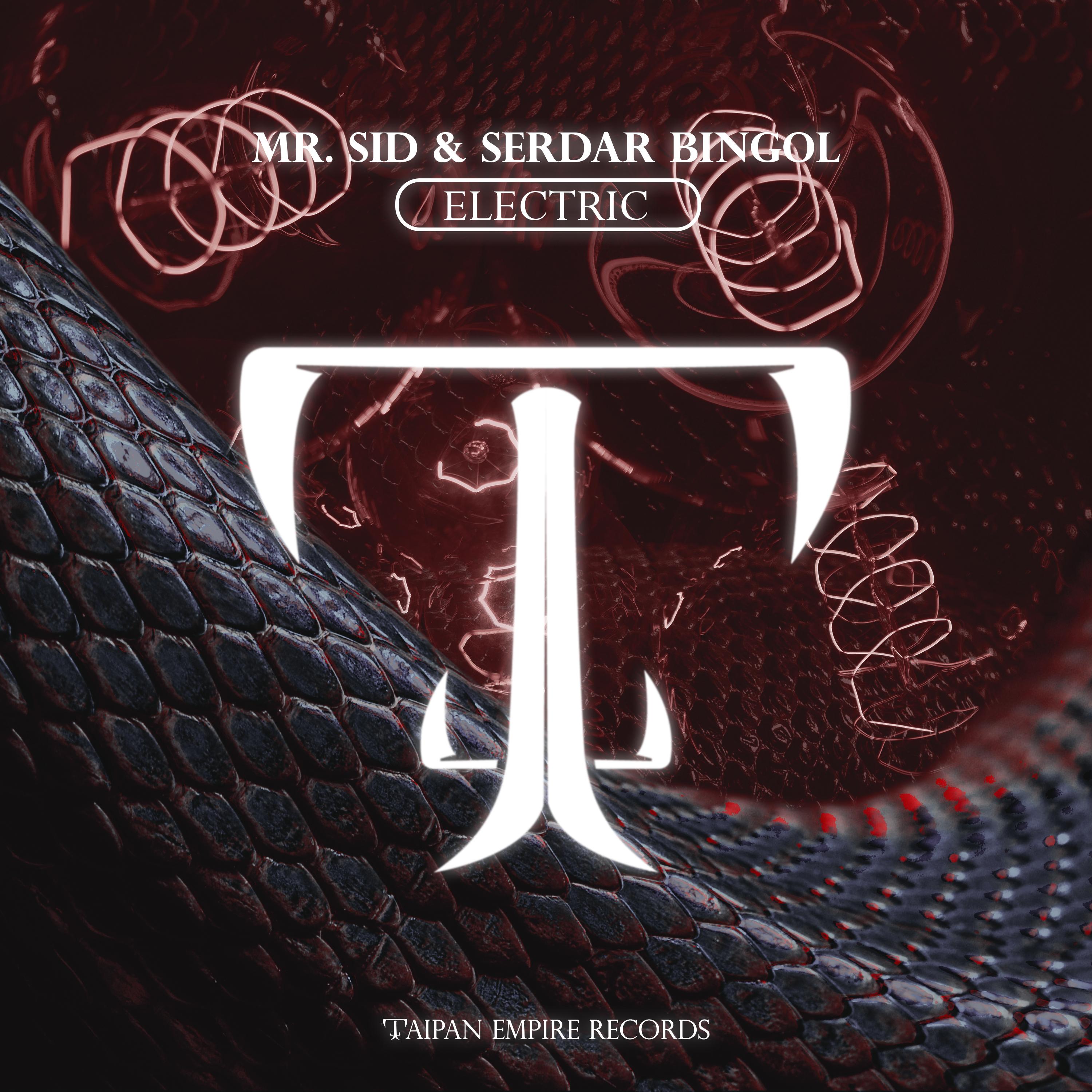 Electric (Extended Mix)