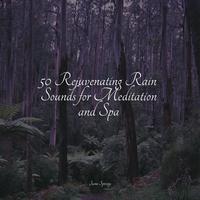 50 Rejuvenating Rain Sounds for Meditation and Spa