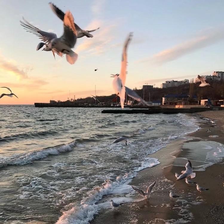 Kina-Kina-Can We Kiss Forever（鹿Nero / 马思远Music remix）