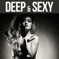 Deep & **** - 20 Deep House & Funky House Music Tunes, Vol. 1