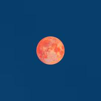 Strawberry Moon