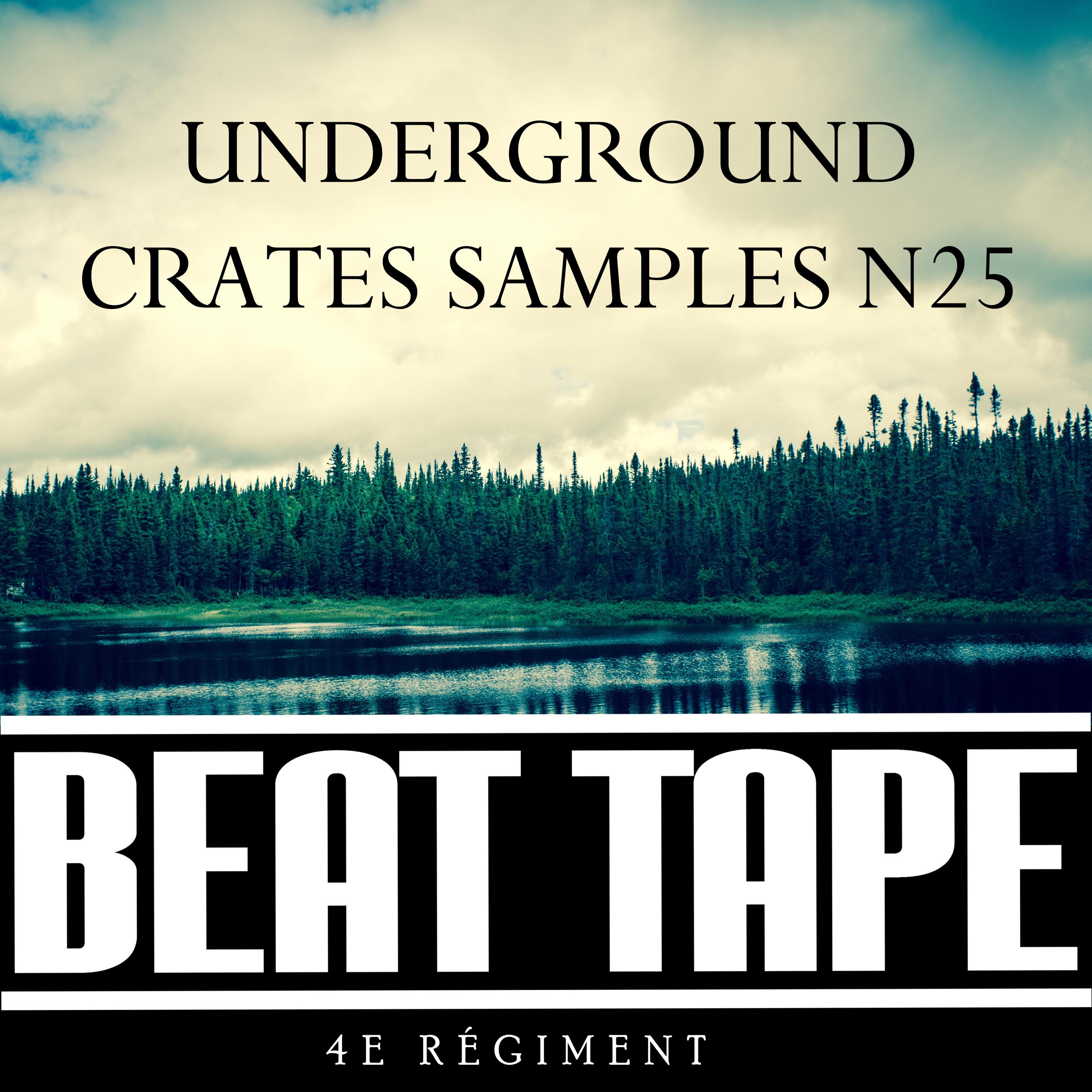 Le rêve coûte trop de chair (Instrumental Version)