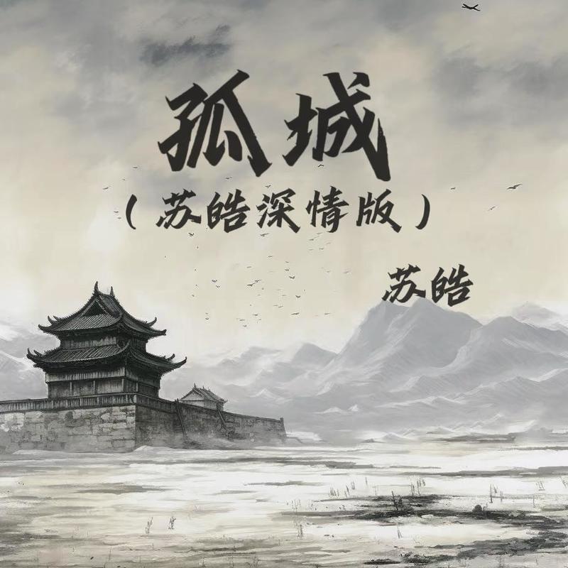 孤城 (苏皓深情版)封面