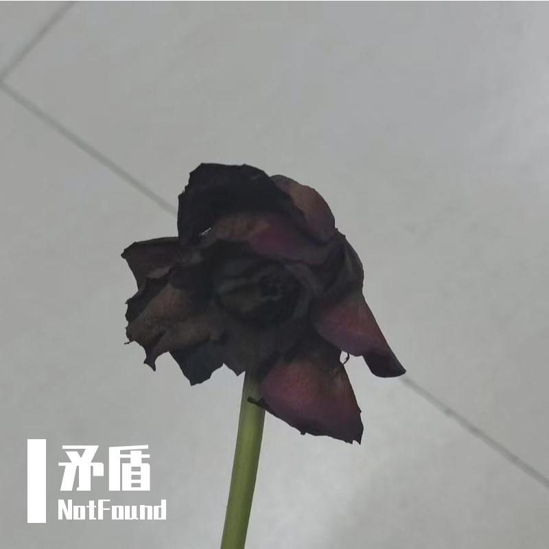 矛盾（Prod EVOMUSIC&葵）封面