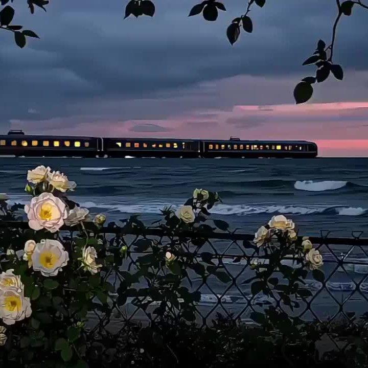 中间 - 辉夜封面