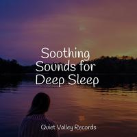 Soothing Sounds for Deep Sleep