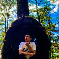 mfs mograph