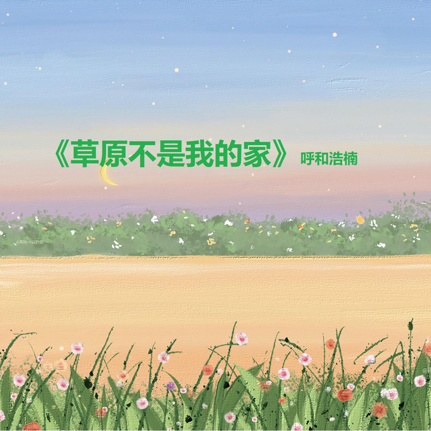 草原不是我的家(DJ版)封面