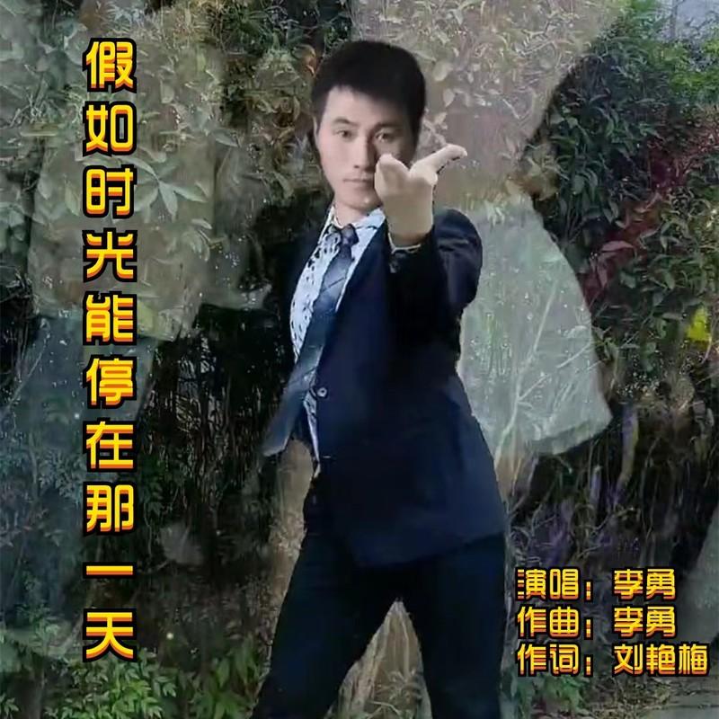 假如时光能停在那一天 (新版)封面