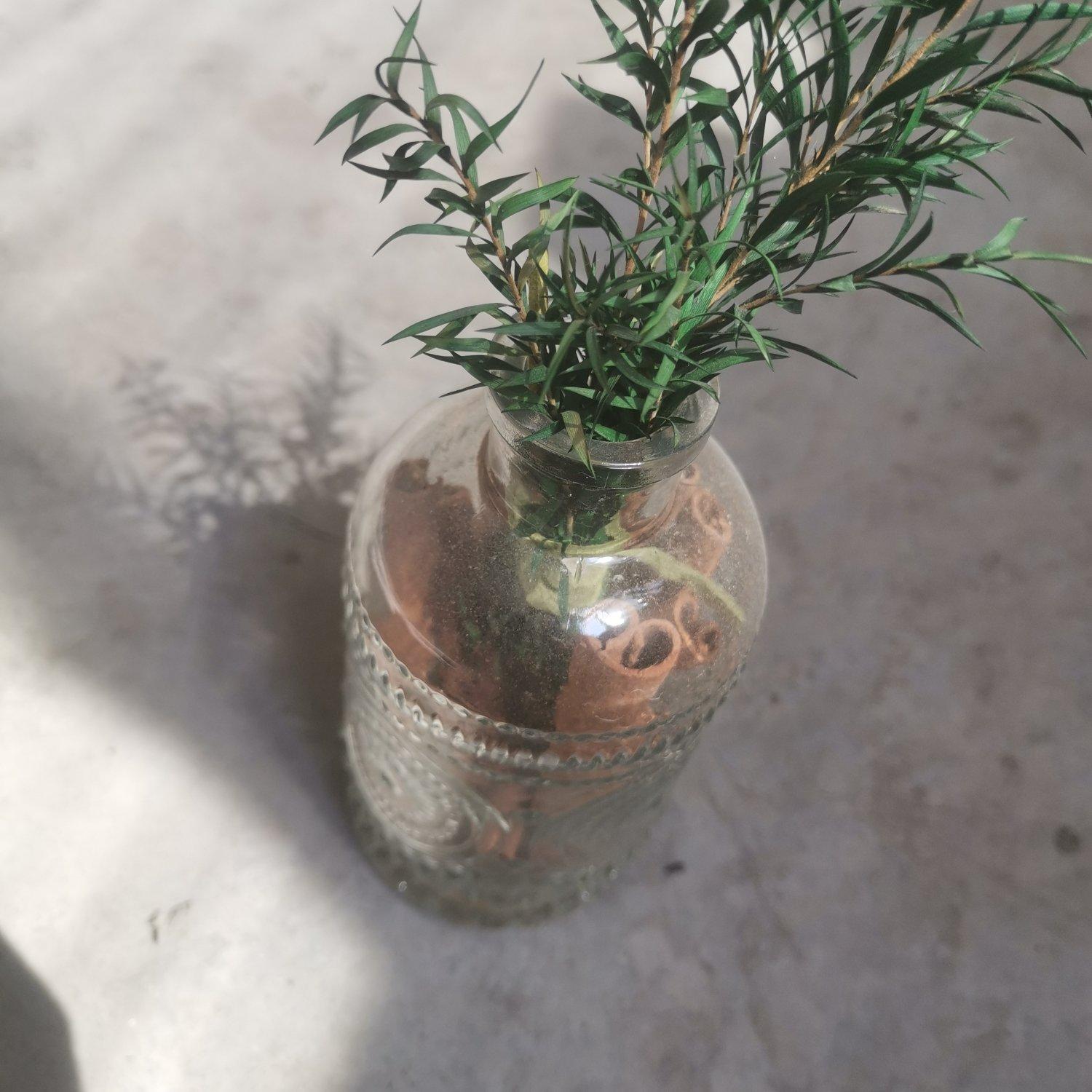 草裙舞封面