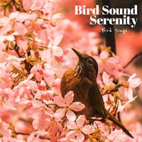 Bird Sound Serenity