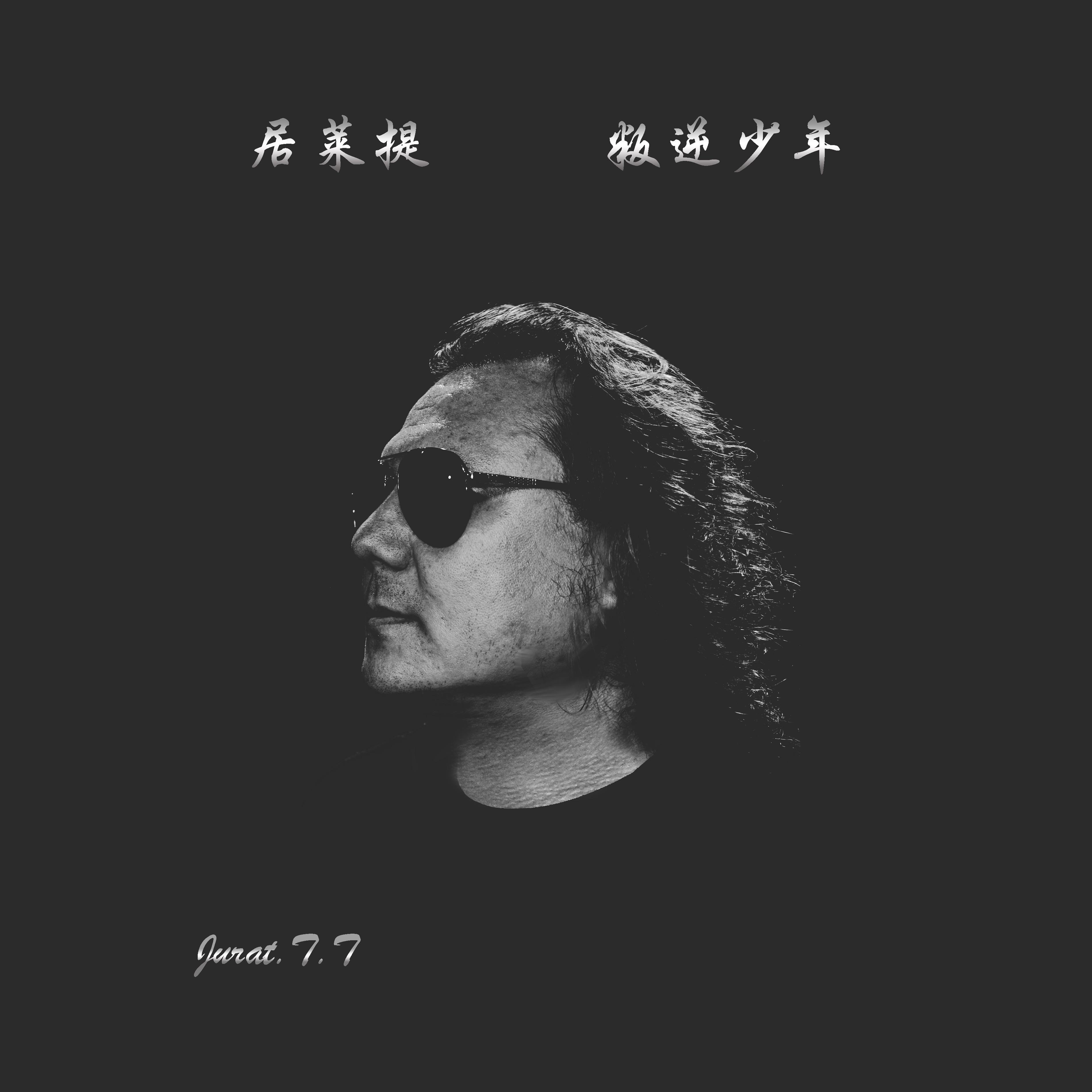 苦儿流浪记（国语）封面
