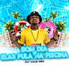 DJ V.D.S Mix - Bom Dia Vs Elas Pula na Piscina
