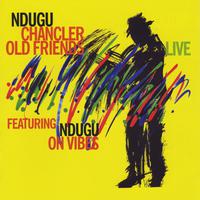 Old Friends Live (feat. Ndugu on Vibes)