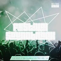 Festival Soundtrack: Best of Big Room & Electro, Vol. 24