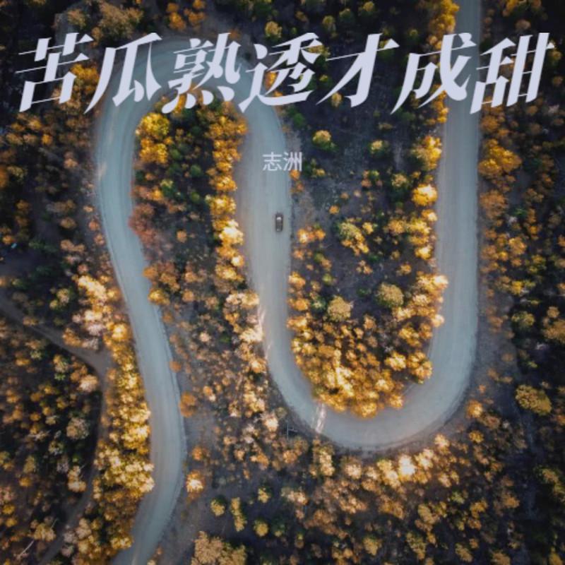 苦瓜熟透才成甜 (伴奏)封面