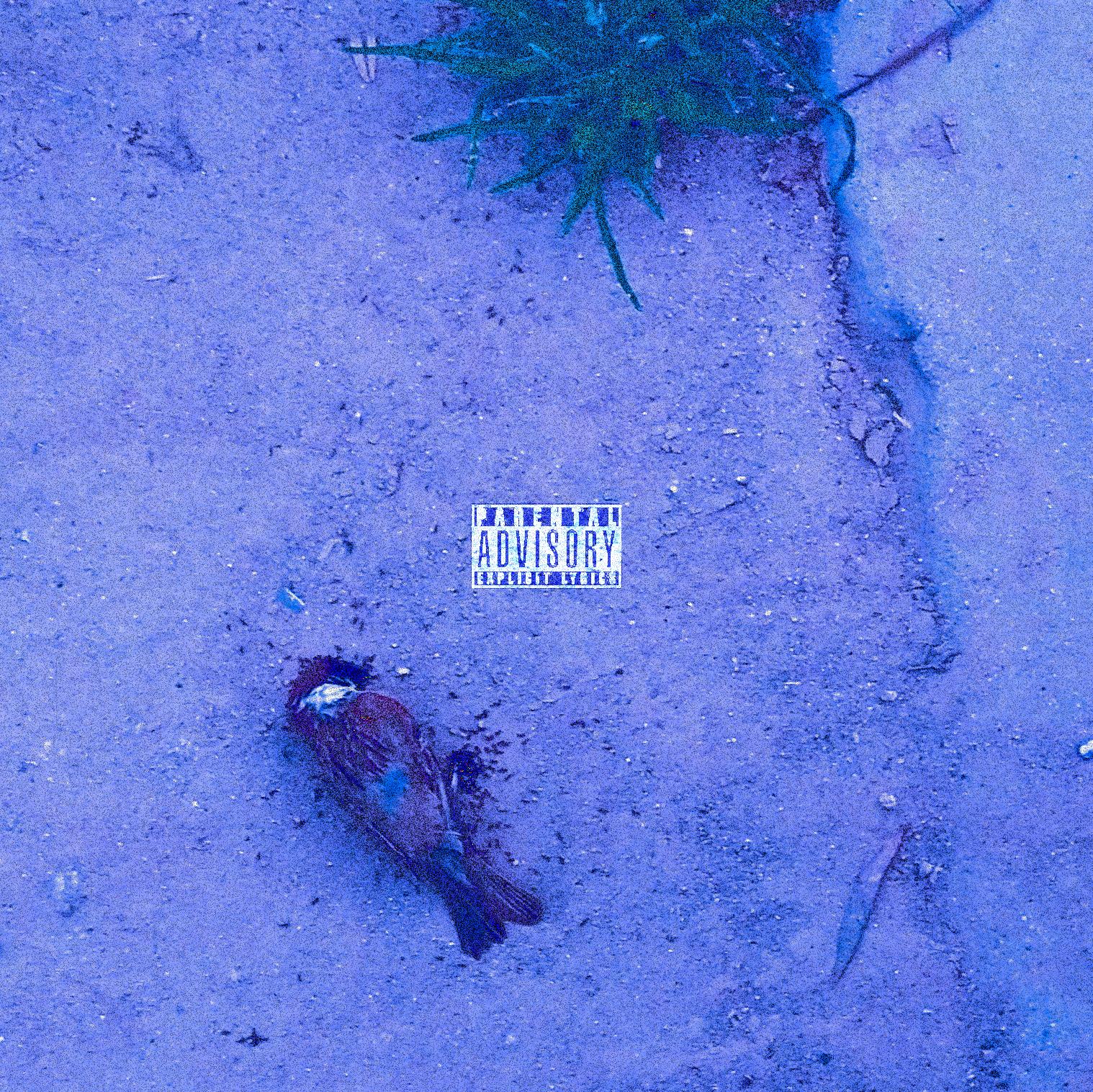 指路牌[Prod By Ro6o]封面