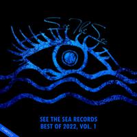 See The Sea Records: Best Of 2022, Vol. 1