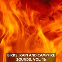 Birds, Rain and Campfire Sounds, Vol. 16