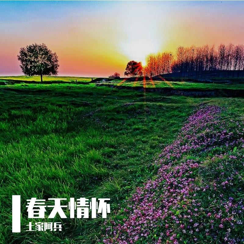唱一首歌儿送给你 伴奏封面