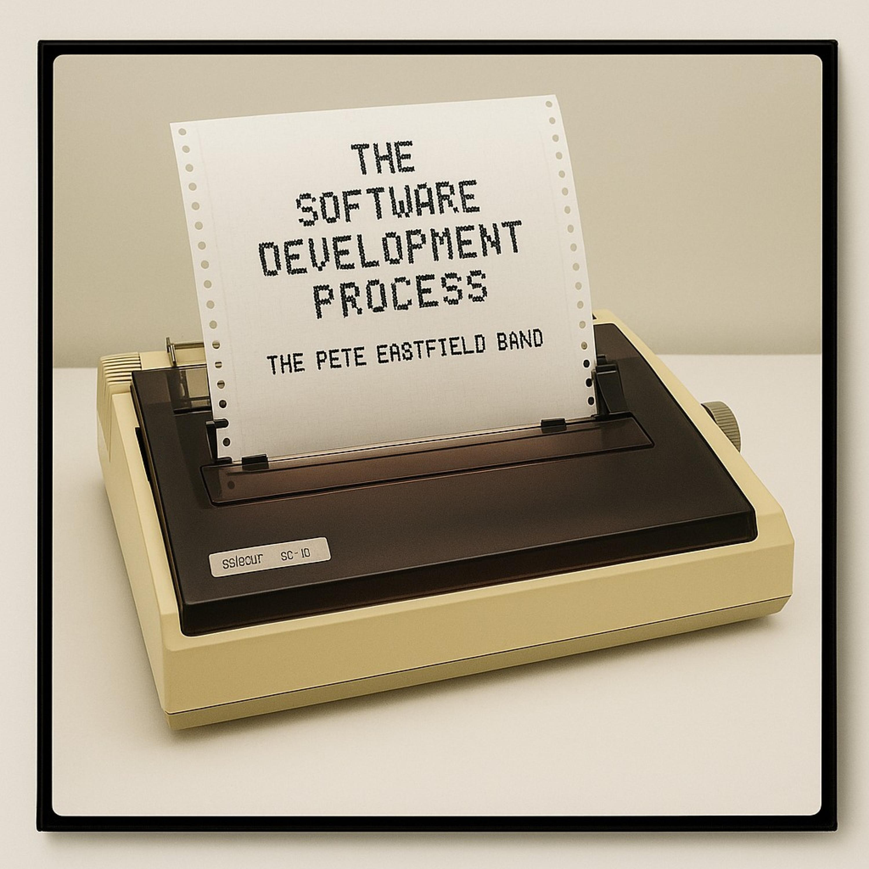 The software development process