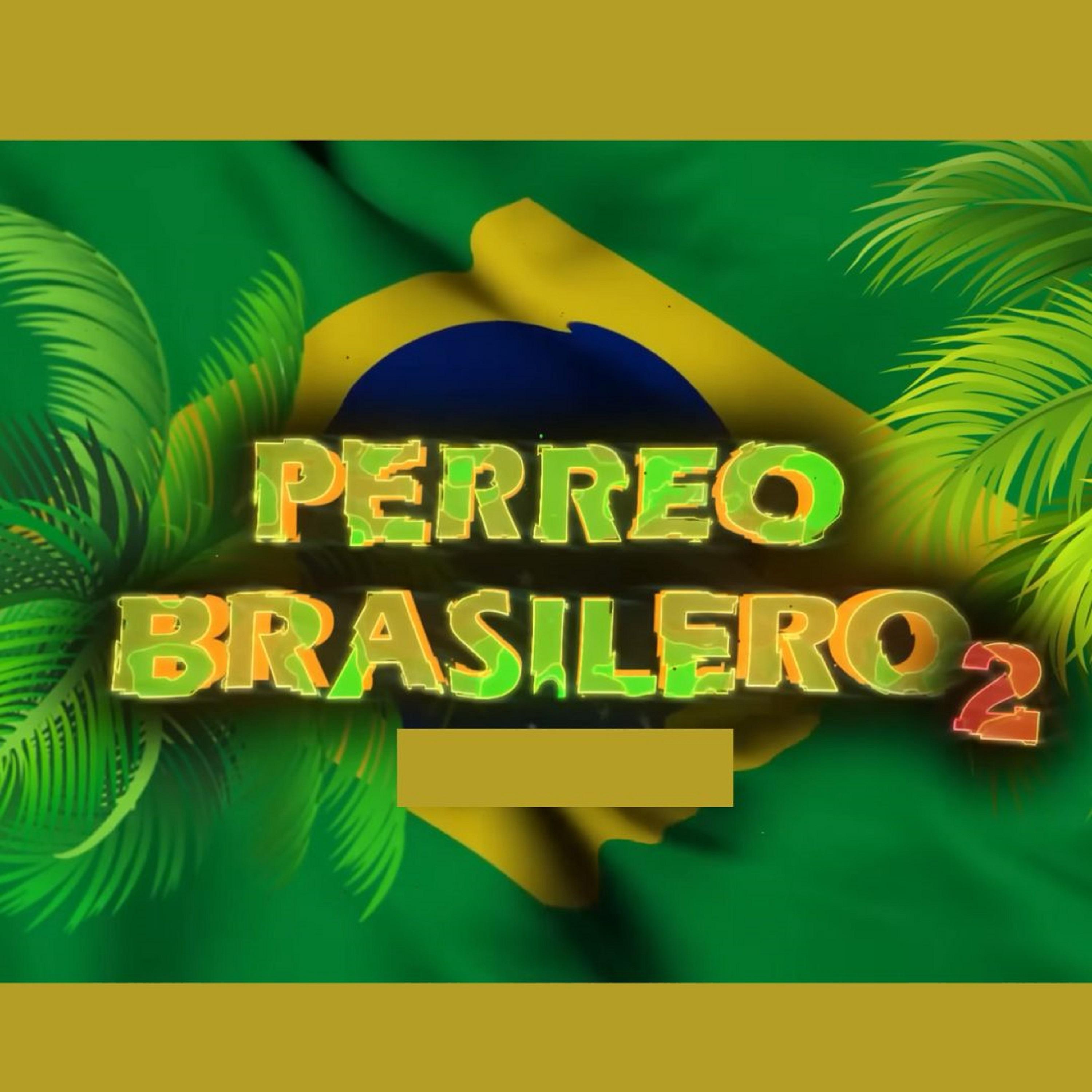 PERREO BRASILERO #2 Dj Nestor Vol. 2