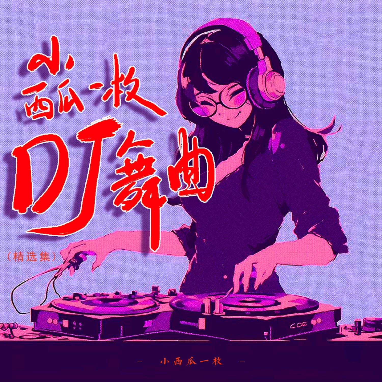 甜蜜蜜 (DJ版)封面