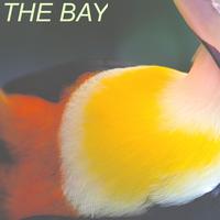 The Bay