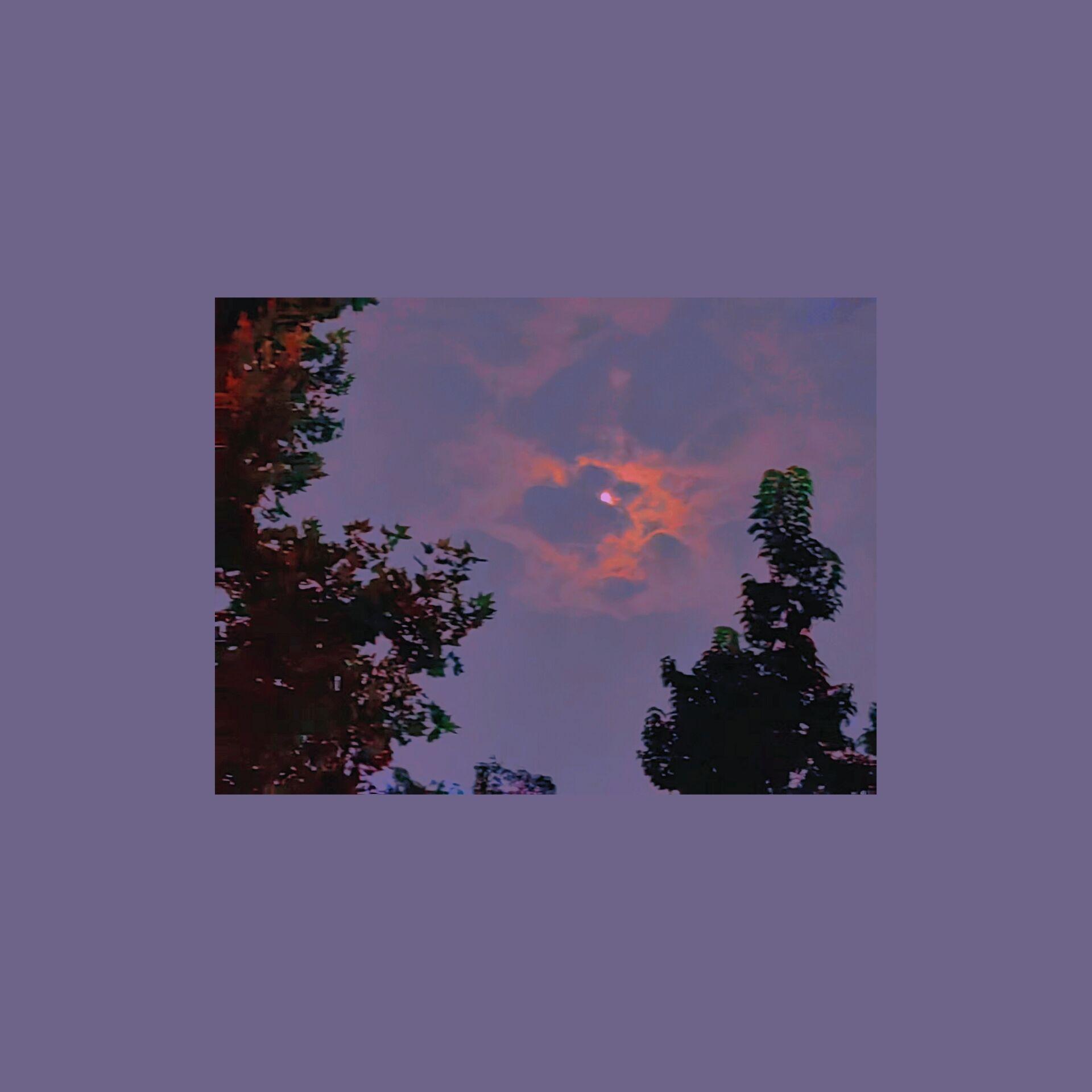 花花公子（Cover：马思唯）封面