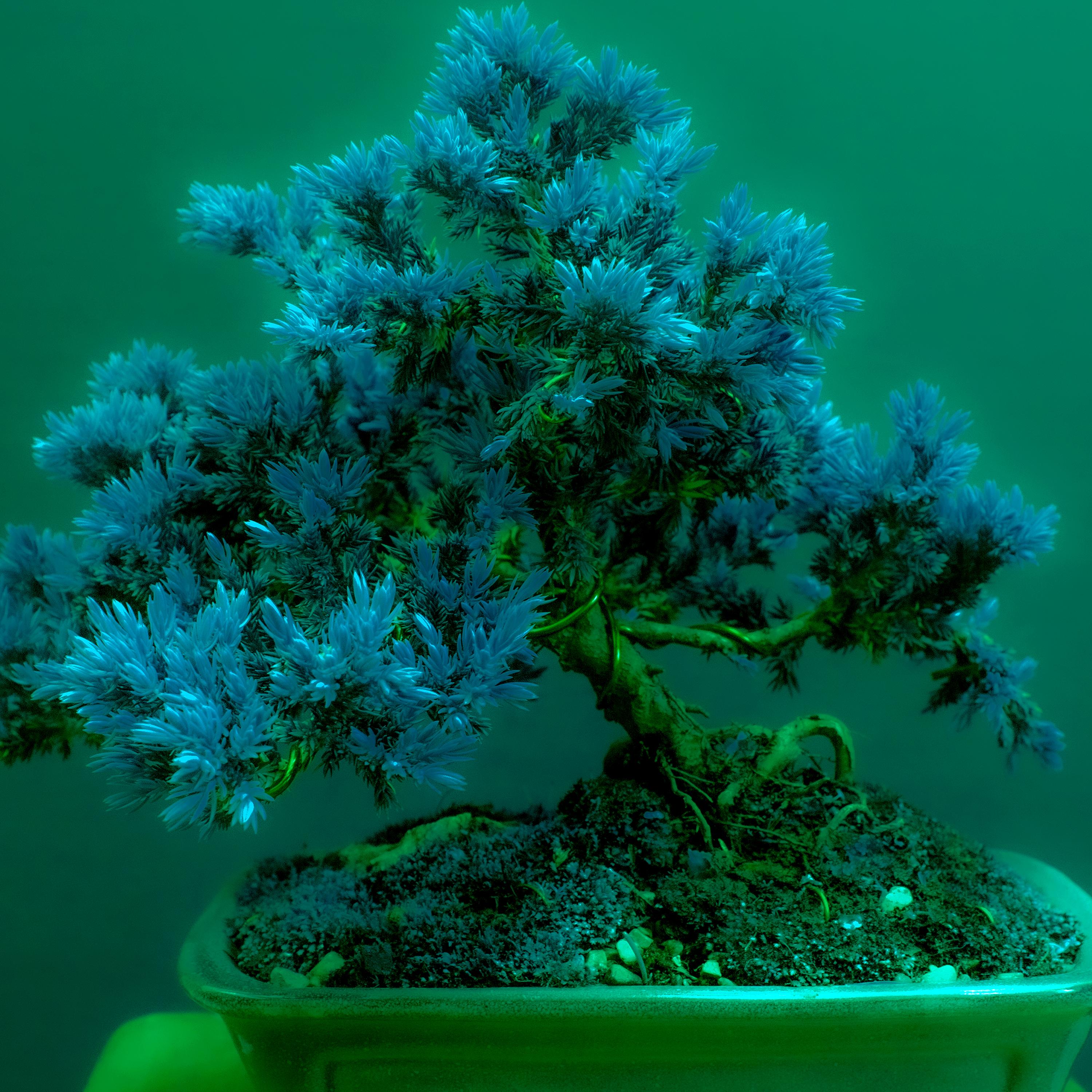 Blod besvimelse (Instrumental Version)