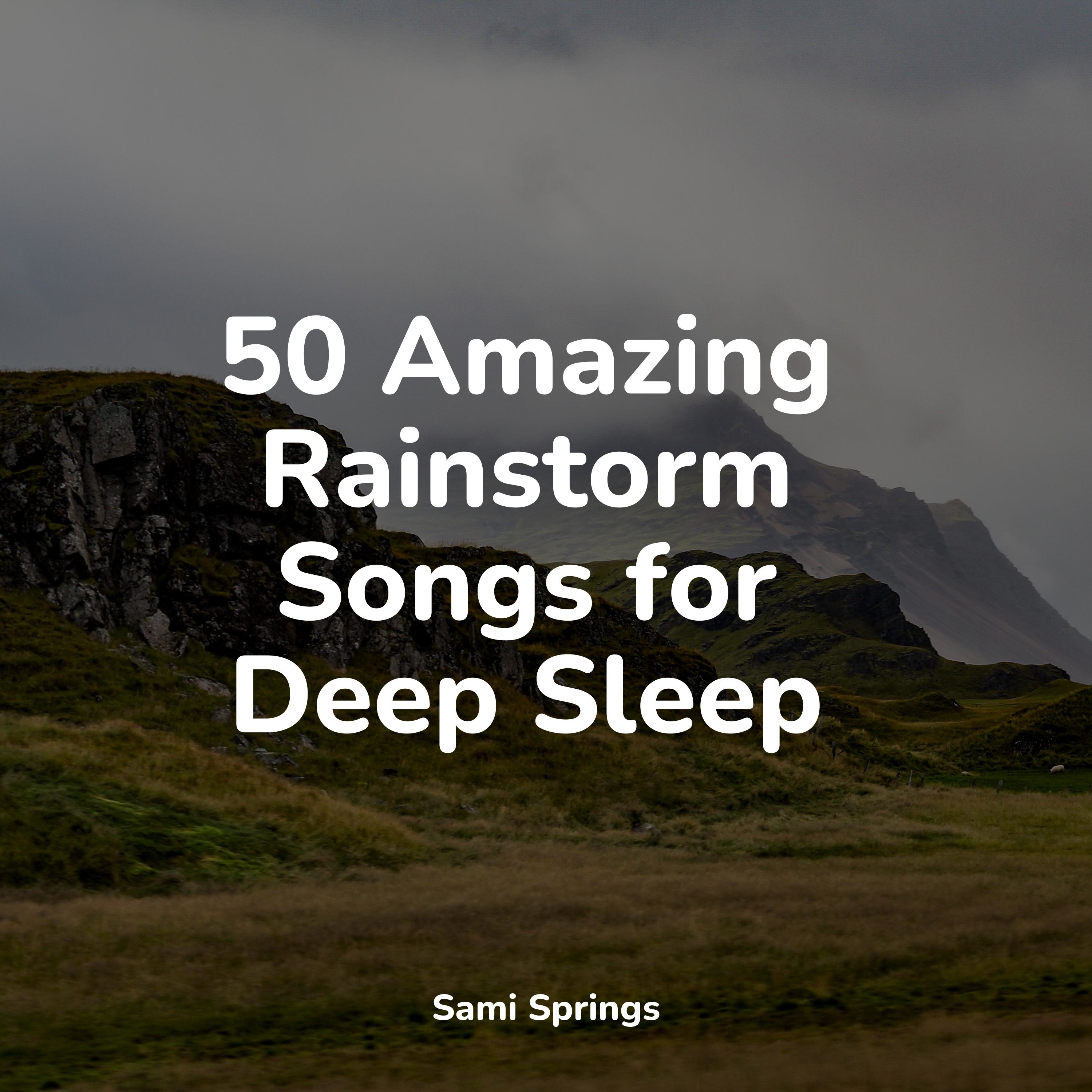 Wind Strong Forest Light Debris Leaves Rain Sonidos De La 