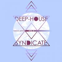 Deep-House Syndicate, Vol. 2