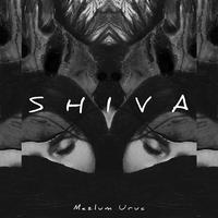 Shiva