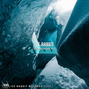 Ice Rabbit Record